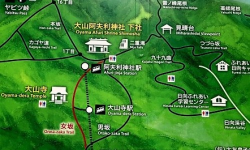 山药和山药干功效一样吗-山药和木耳有什么功效网 - 为你提供山药和小米粥的功效与作用、山药和薏米的功效